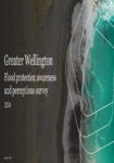 Wellington region flood protection – awareness and perceptions preview
