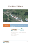 Porirua Stream Hydraulic Model Update and Flood Mapping preview