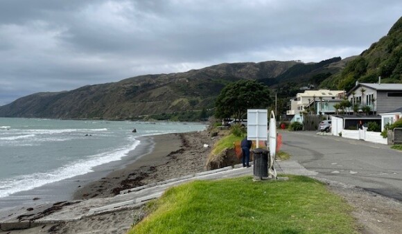 The shore of a Wellington coastline, with a beach on one side of a road and houses on the other