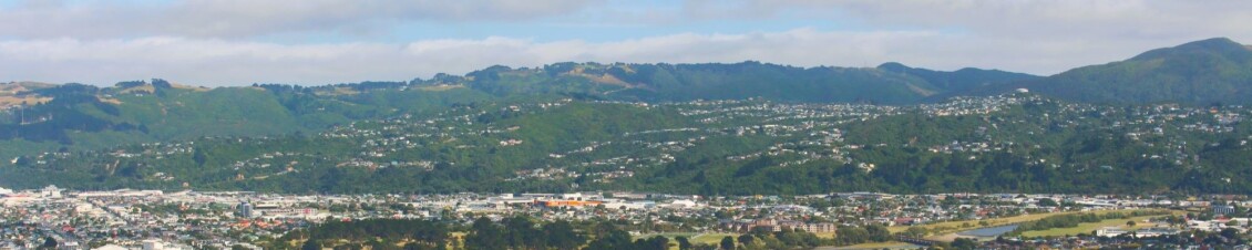 Aerial view of the hills beyond Petone