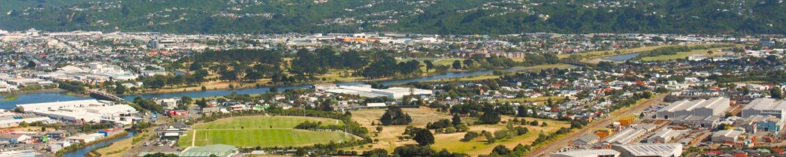 Aerial view of Petone