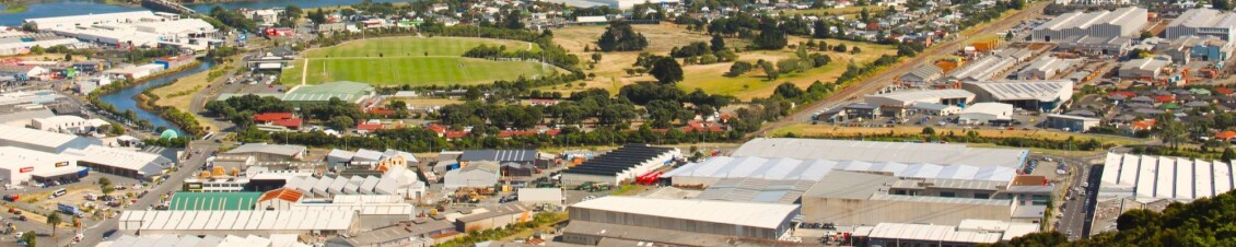 Aerial view of Petone