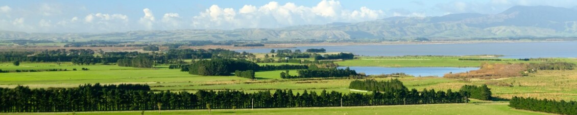 Aerial view of farmlands in the Wairarapa